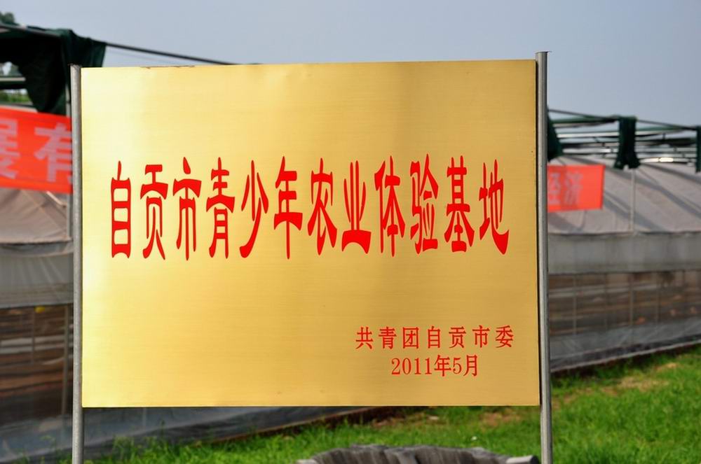 点击浏览下一页
