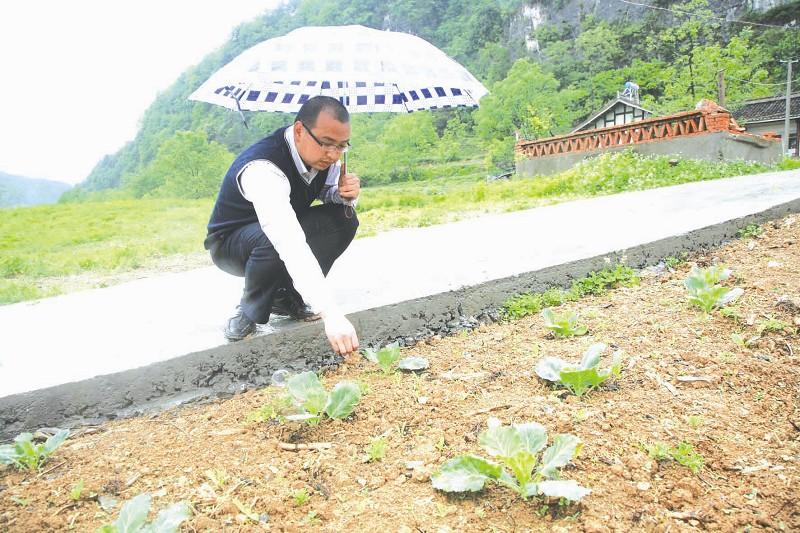 点击浏览下一页