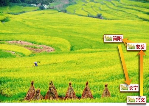 点击浏览下一页