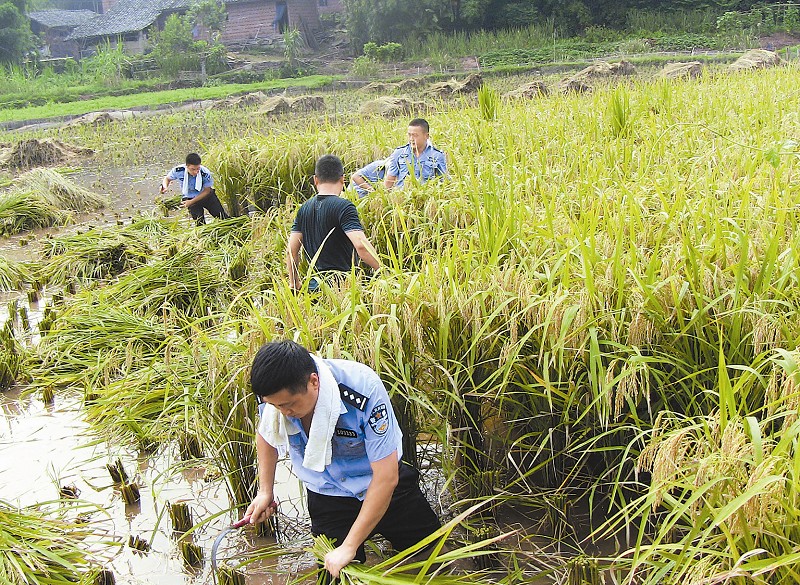 点击浏览下一页