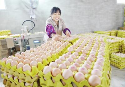 点击浏览下一页