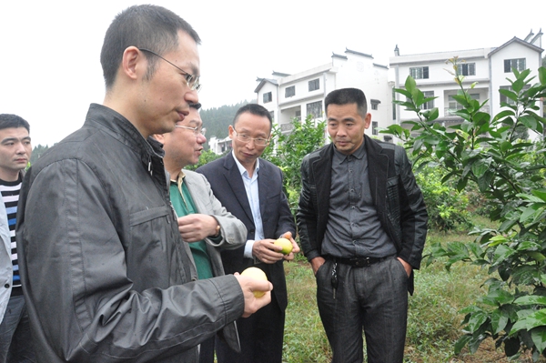 点击浏览下一页