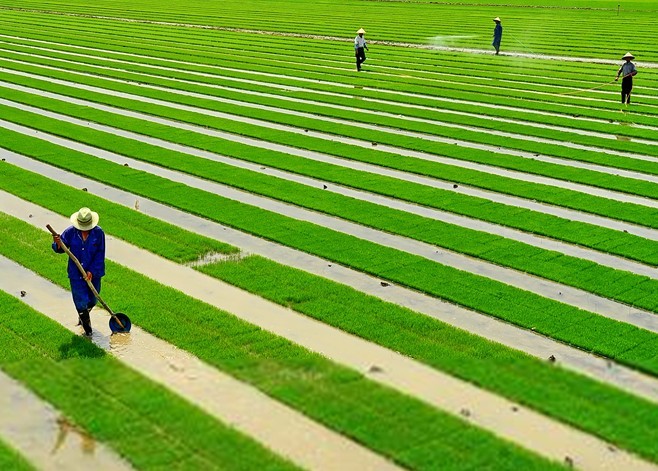 点击浏览下一页