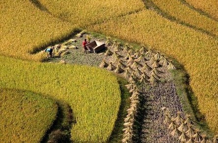 点击浏览下一页