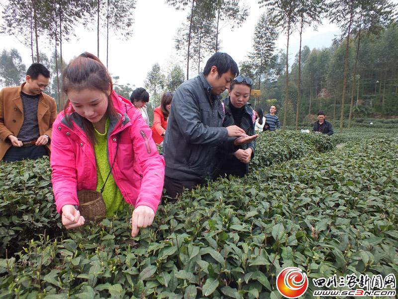 点击浏览下一页
