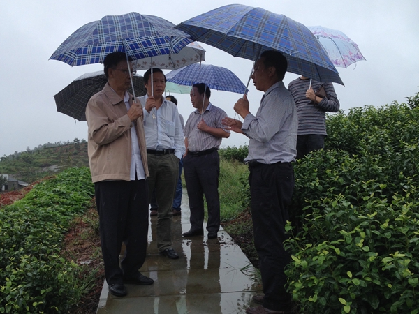 点击浏览下一页
