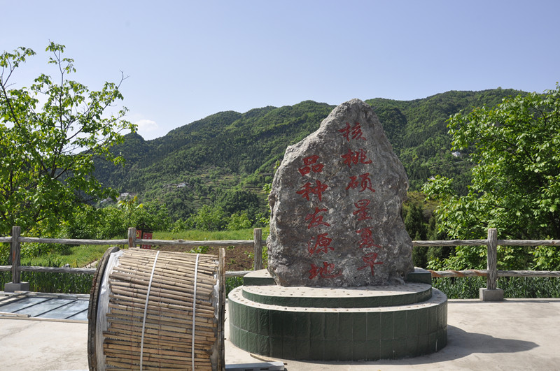 点击浏览下一页