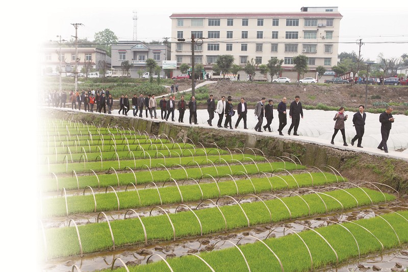 点击浏览下一页