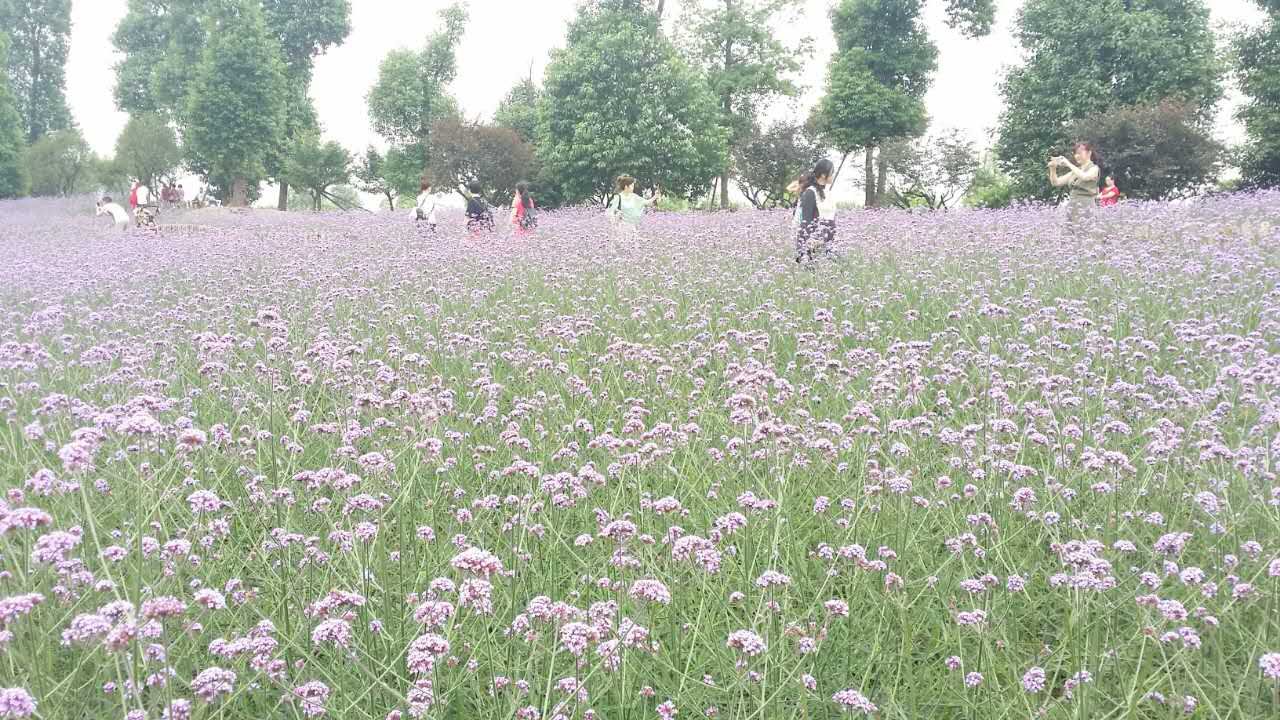 点击浏览下一页
