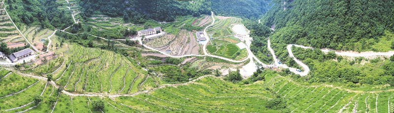 点击浏览下一页
