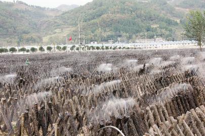 点击浏览下一页