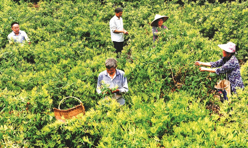 点击浏览下一页