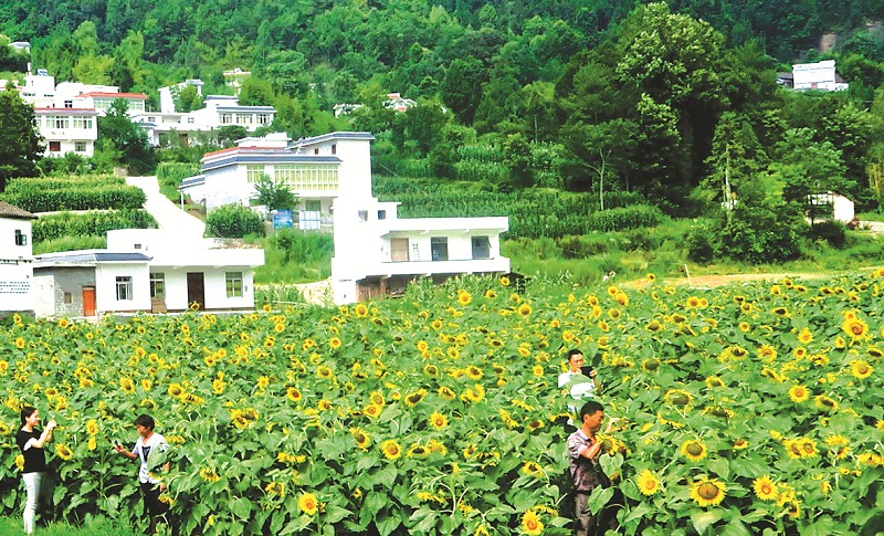 点击浏览下一页