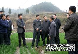 省委常委、副省长钟勉到苍溪调研