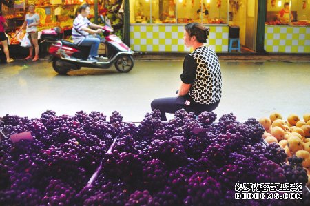 雨水惹祸？葡萄为什么这么酸