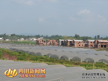 新村带产业 产业促新村 南充高坪区“订制”三模式促“产村相融”