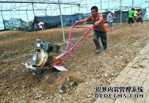 南充：瞄准市场需求种蔬菜 确保“菜篮子”供应充足