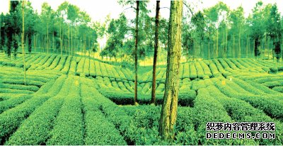 坚持城乡统筹推动新村建设(图)