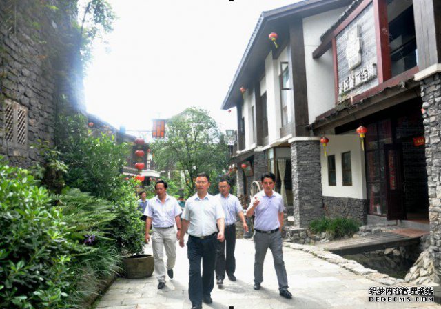 省农发会“三农”课题调研组赴洪雅县调研“农旅相融”
