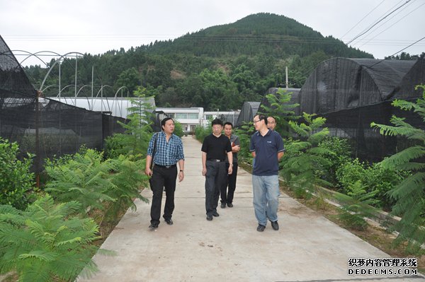 省农发会调研绵阳三县（市）新农村建设及农业产业化