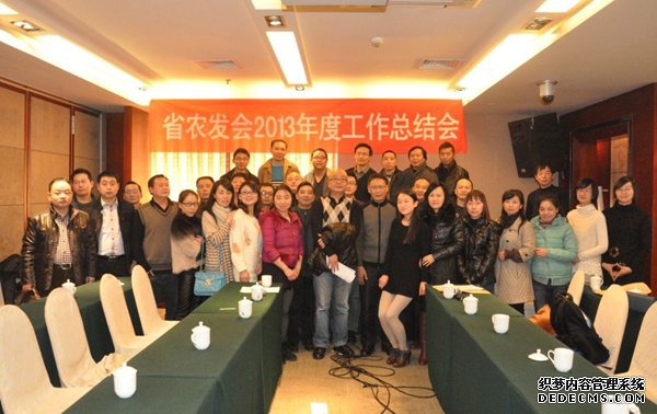 四川省农村发展促进会2013年终总结大会举行