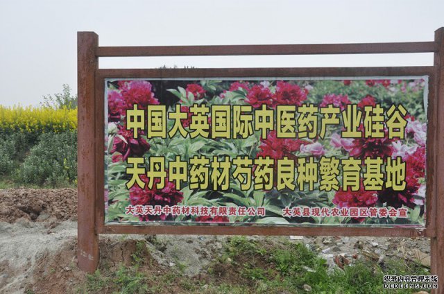 省农发会调研组在大英等地调研现代农业园区建设及现代农业发展