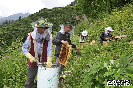 向生态要效益 用资源促跨越 加快脱贫致富奔小康步伐