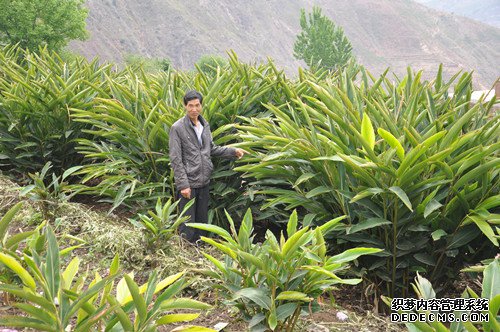 扶贫攻坚路上一心为民的好支书