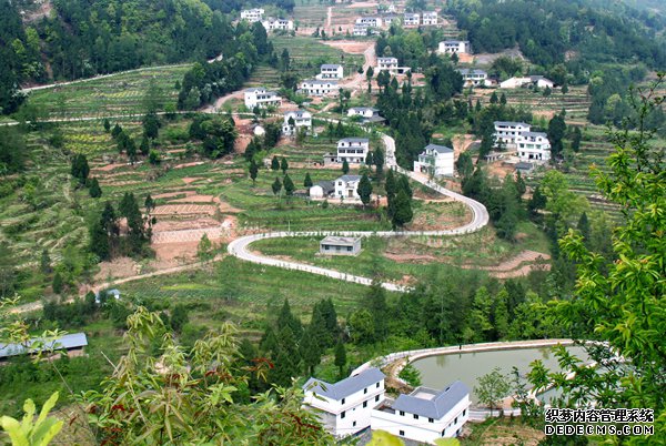 南江县：产业扶贫助农增收路径选择