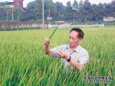 袁隆平:惟愿苍生俱饱暖