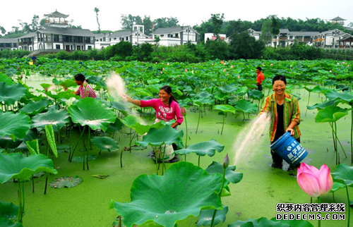 达州市：万涓成河润巴渠