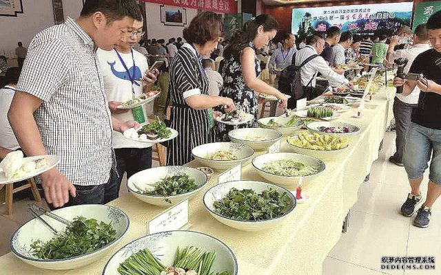 朝天区：发展生食蔬菜产业如何抢占先机？