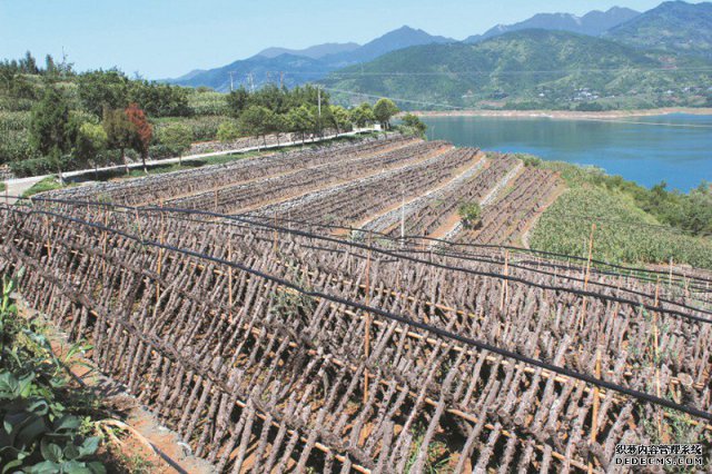 青川县：决战决胜脱贫 实现全面小康