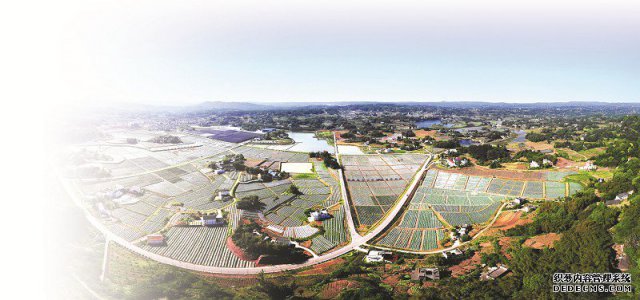 泸州市：国家级现代农业示范区核心基地董允坝素描