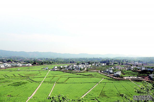 泸县:改革驱动 健全体系 建设幸福美丽乡村