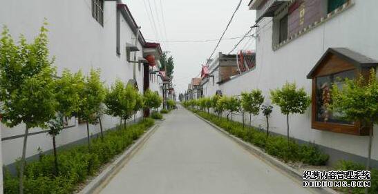 “不正常”的美丽乡建，正在被“正常化”