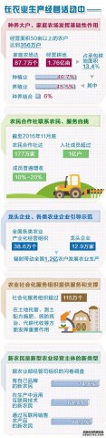 张红宇:发挥新型农业经营主体对改革的引领作用