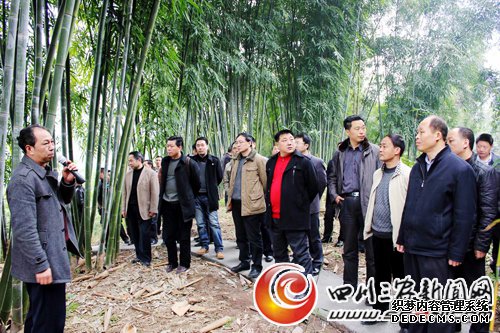 [乐山]沐川：建设林业经济强市 带动林农持续增收