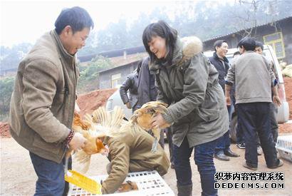 从零到“精” 自贡走出特色农业之路