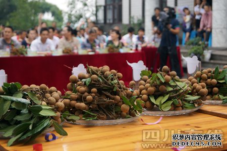 泸州：江阳龙眼大丰收 果农眉开眼笑获利高（图）