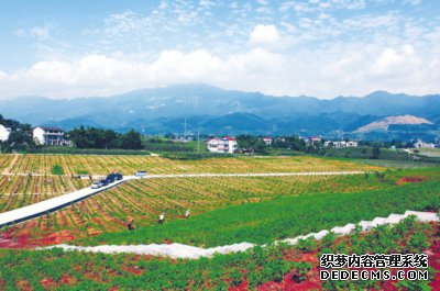 产业舞动宋家垭（图）