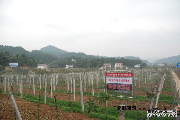 苍溪元龙省级新农村示范片见闻
