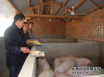 三兄妹你追我赶 同奔致富路