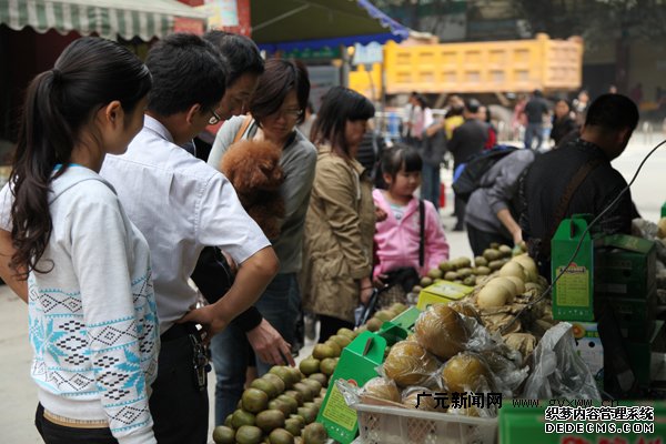 苍溪生态旅游产品受游客青睐