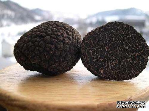 会东县：小小块菌潜力大