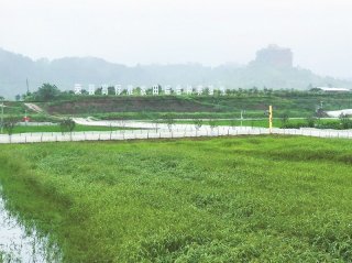 荣县农村综合改革渐入佳境