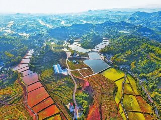 郭晓鸣：乡村振兴必须突破短板制约