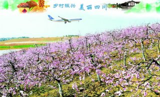 双流区：空港“羽翼”带动乡村腾飞