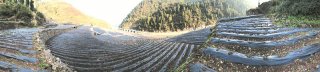 青川县：党建惠民聚人心  生态产业促发展