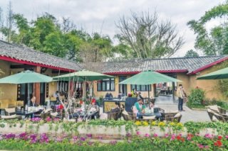 崇州市：川西林盘获新生